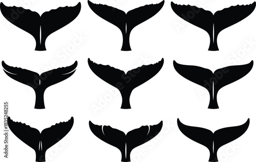 Orca Tail Silhouette Set, Whale Flukes, Ocean Wildlife, Marine Animal, Black Shape