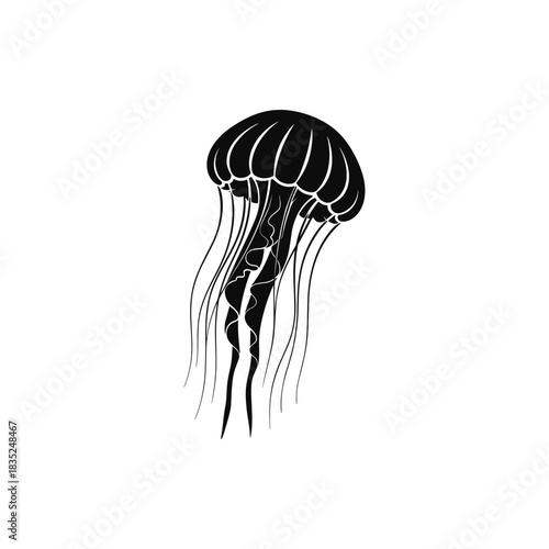 Elegant black and white jellyfish illustration with flowing tentacles.