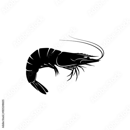 Elegant Silhouette of a Shrimp with Detailed Antennae and Body.