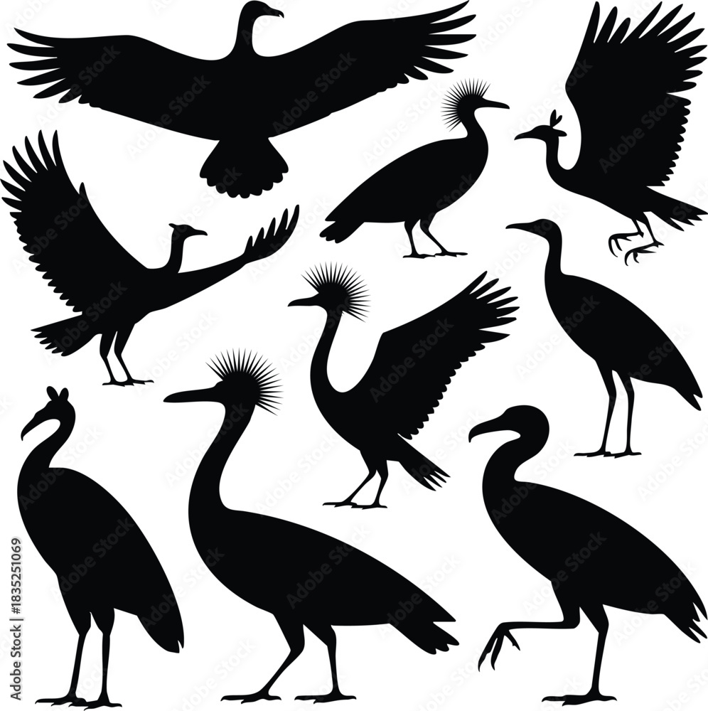 Naklejka premium Crowned Crane and Water Bird Silhouettes, Vector Silhouettes of Cranes, Storks, and Related Birds, Black Silhouettes of Birds with Wings Spread and Standing Poses, silhouette, vector, illustration.