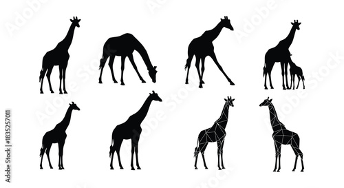 Silhouettes of giraffes in various poses against a plain white background