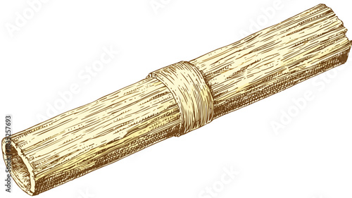 Detailed Vector Drawing of Wooden Straw Structure - Professional Illustration