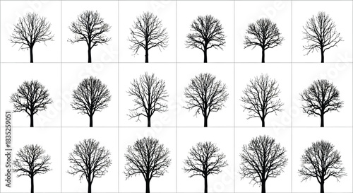 Collection of bare deciduous tree silhouettes