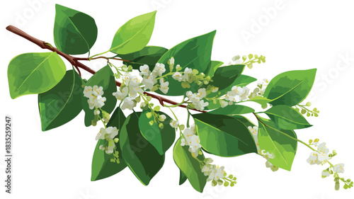 Vibrant Green Plant with Beautiful Flowers Vector Illustration