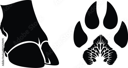 Hoof and paw print black silhouettes on white background
