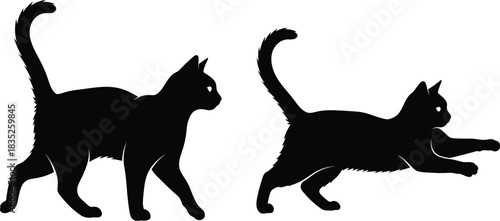 Two black cat silhouettes walking and stretching on white background