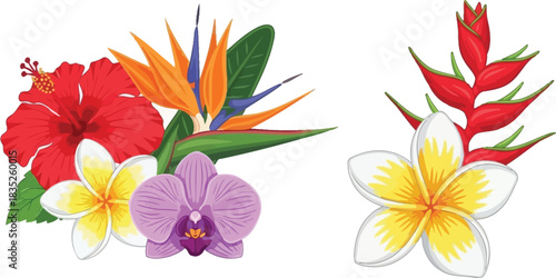 Tropical flower arrangement with hibiscus plumeria bird of paradise and orchid