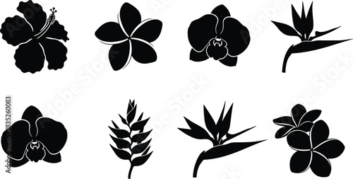 Tropical flower silhouette set hibiscus plumeria orchid bird of paradise