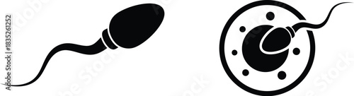 Sperm cell fertilizing egg human reproduction black and white illustration