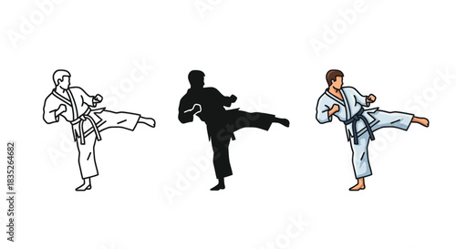 Set of three karate martial arts fighter icons showing a man performing a side kick in outline, silhouette and full color style