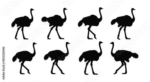 A collection of black silhouette images depicting ostriches in various poses