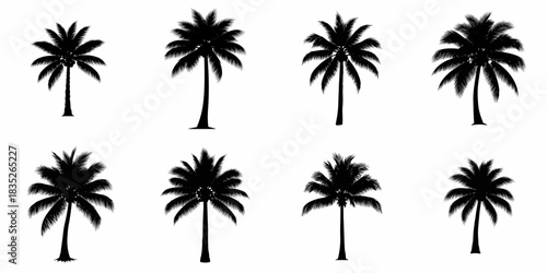 Set of 8 black vector silhouettes of tropical palm trees and coconut palms isolated on white, representing beach, summer, and vacation icons.
