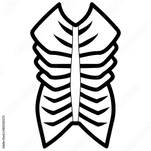 x ray of human spine