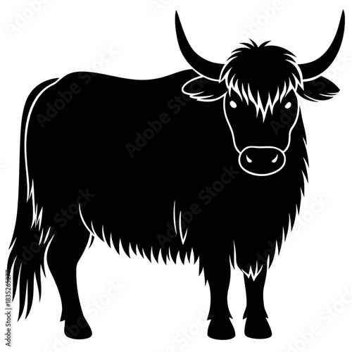 black and white cow