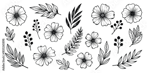 Hand-drawn flowers and leaves set for nature botanical decoration in sketch style, simple floral plant design for a summer spring invitation.