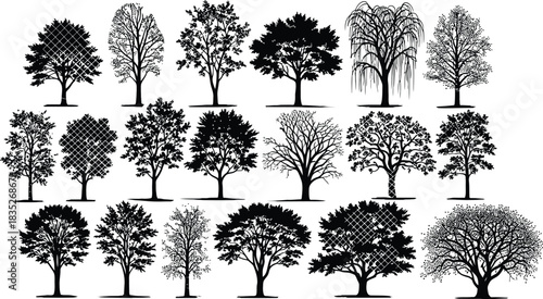 Set of black vector silhouettes of deciduous trees with trunks and branches on background