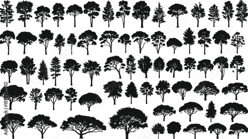 Silhouettes of various trees collection isolated on transparent background detailed natural icons set