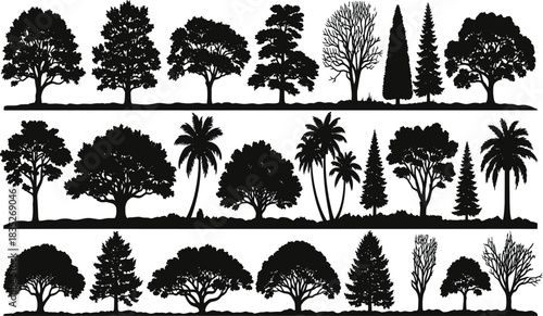Silhouettes set of various trees including deciduous evergreen and palm species on ground