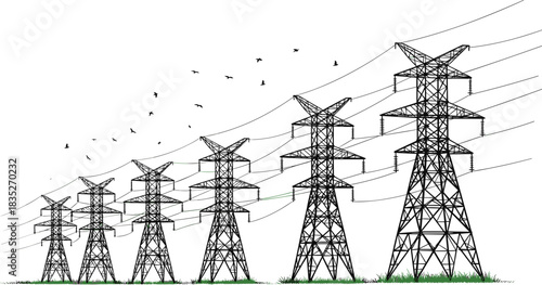 High-Voltage Electricity Transmission Towers and Power Lines Stretching Across Landscape, Energy Infrastructure Technology, Grassy Foreground, Flock of Birds Flying