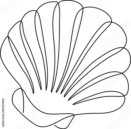 Scallop Shell Continuous Line Drawing