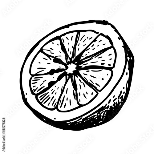 Stylized hand drawn lemon slice cross section graphic element