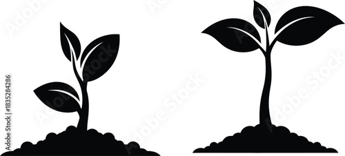 Two young plants sprouting from soil in black and white illustration