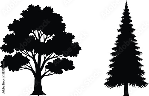 Two tree silhouettes deciduous and evergreen isolated on white background