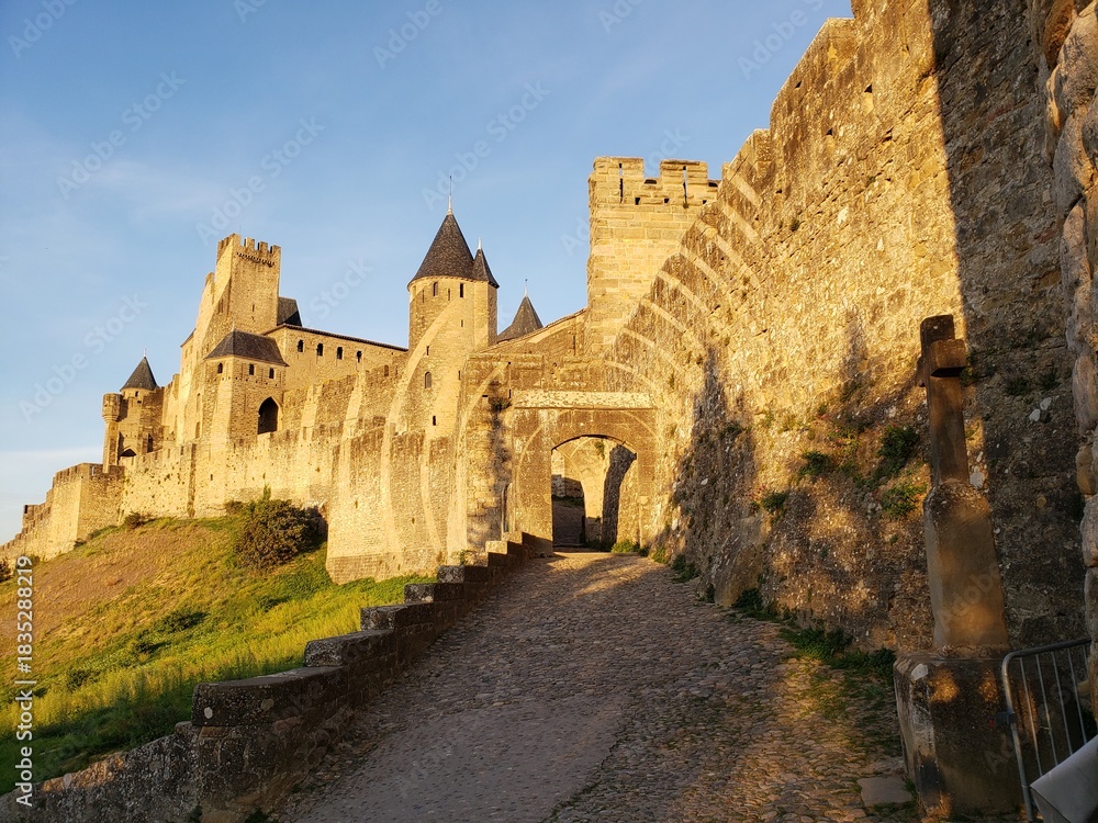 Obraz premium General view of Carcassonne Castle in France