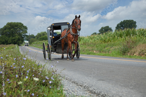 Amish buggy rolling down a rural road in Lancaster County Pennsylvania