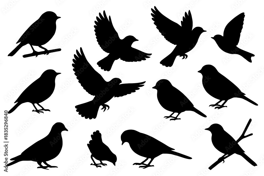 Obraz premium Silhouettes of various birds in flight and perched positions.