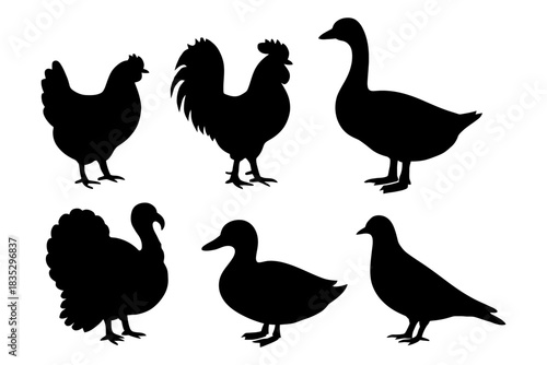 Silhouette collection of common farm birds featuring duck goose and turkey.