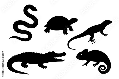 Silhouettes of various reptiles on a white background.