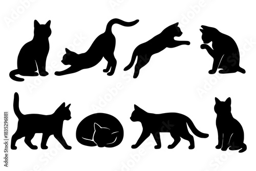 Silhouettes of cats in various poses: stretching, leaping, sitting, and playing.