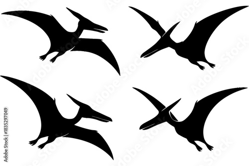Silhouette collection of four pterosaur dinosaurs in flight.