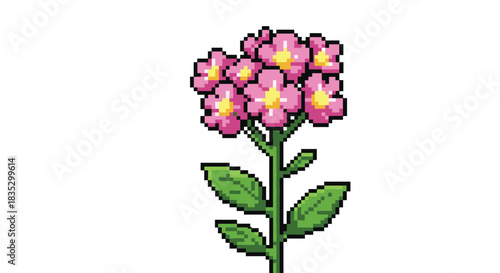 A delicate pixel art illustration of a tall flowering plant with a cluster of small pink blossoms and green leaves on a stalk.
