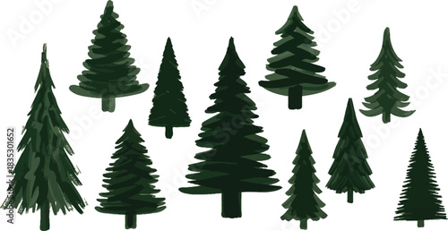 Collection of evergreen trees on white background for design and decoration