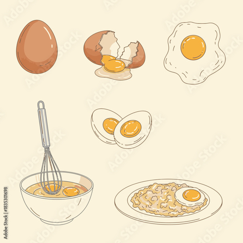 A charming collection of illustrations showcasing diverse egg preparations, from whole and cracked to fried, boiled, and whisked, perfect for culinary projects.
