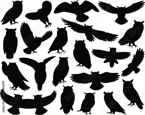 Worn muddy hiking boots on rocky mountain trail, adventure trekking journey, challenging path, outdoor exploration, footwear, durable material.