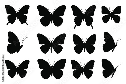 Butterfly Silhouette Vector Black Flying Insect Shapes with Resting and Flight Position Butterflies Isolated Nature Design Elements
