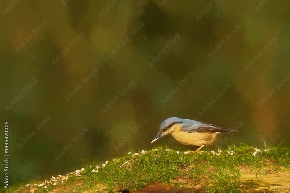 Obraz premium Digital illustration portrait of an Eurasian Nuthatch in the forest.