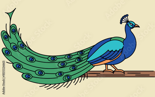 Elegant indian peafowl illustration with vibrant plumage