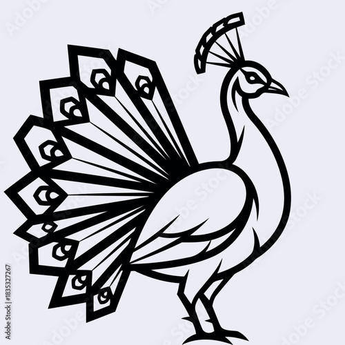 Elegant indian peafowl illustration with vibrant plumage and detailed feathers