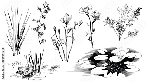 Diverse Collection of Botanical Arrangements with Plants and Water