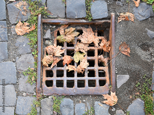 Fototapeta Naklejka Na Ścianę i Meble -  Leaves gathered in a rusty grate on cobblestone street during autumn in a small town
