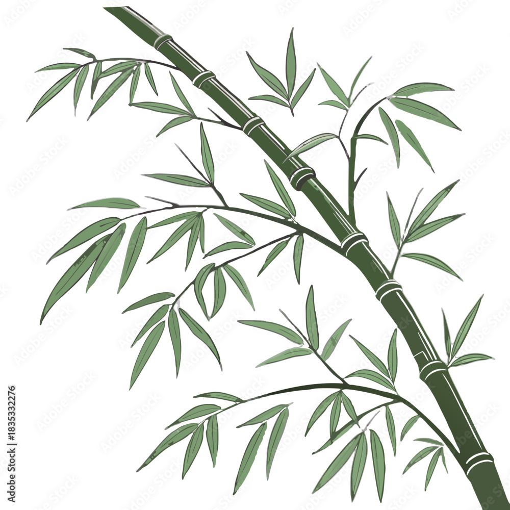 Fototapeta premium Elegant Bamboo Stalks Illustration