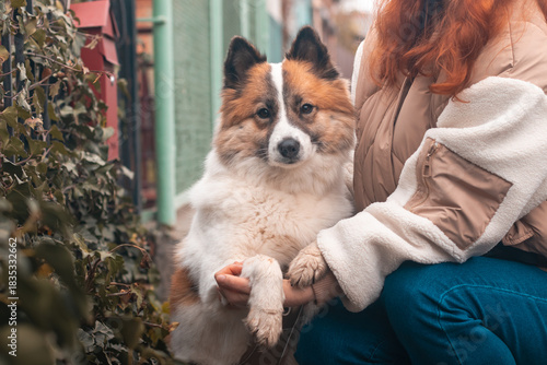 Woman hugging dog in the autumn park.