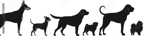 A diverse set of dog breed silhouettes, including a Doberman, Chihuahua, Labrador, Pug, Bloodhound, and Pomeranian, illustrating variety in size and shape for veterinary and pet design