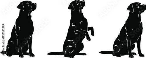 Black Labrador Dog Silhouettes Set in Waiting, Sitting, and Begging Poses for Pet Shop, Veterinary Clinic, Animal Training, and Canine Loyalty Concepts