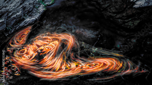 Swirling Autumn Leaves in Stream with Motion Blur