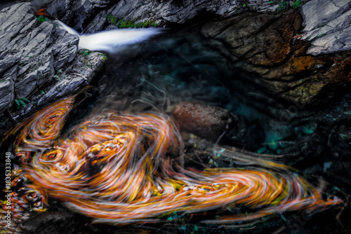 Swirling Autumn Leaves in Stream with Motion Blur